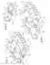 Fig. 02 - Confectionary packages and methods for dispensing confectionary products