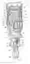 Fig. 01 - Shock-absorbing system for fastener driving tools