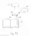 Fig. 06 - Method and apparatus for accessing electronic data via a familiar printed medium