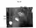 Fig. 145 - Methods for SEM inspection of fluid containing samples