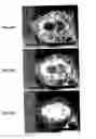 Fig. 148 - Methods for SEM inspection of fluid containing samples