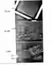 Fig. 149 - Methods for SEM inspection of fluid containing samples