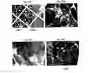 Fig. 150 - Methods for SEM inspection of fluid containing samples