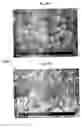 Fig. 151 - Methods for SEM inspection of fluid containing samples