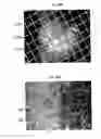 Fig. 152 - Methods for SEM inspection of fluid containing samples