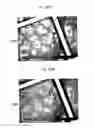 Fig. 153 - Methods for SEM inspection of fluid containing samples