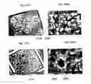 Fig. 155 - Methods for SEM inspection of fluid containing samples