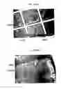 Fig. 157 - Methods for SEM inspection of fluid containing samples