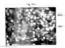 Fig. 158 - Methods for SEM inspection of fluid containing samples