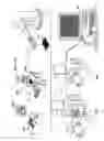 Fig. 91 - Methods for SEM inspection of fluid containing samples