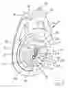 Fig. 02 - Ratchet block