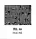 Fig. 06 - Vertical GaN light emitting diode and method for manufacturing the same