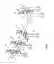 Fig. 07 - Portable vise
