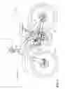 Fig. 02 - Chain alignment structure of bicycle transmission