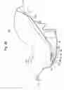 Fig. 07 - Infant car seat