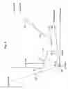 Fig. 10 - Infant car seat