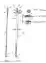 Fig. 03 - Spoke for a bicycle wheel, wheel and method for manufacturing such a spoke, and a sealing element for such a spoke