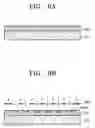 Fig. 09 - Panel for field emission type backlight device and method of manufacturing the same