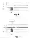 Fig. 06 - Display panel and method for manufacturing display panel