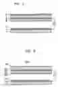 Fig. 02 - Field emission backlight device