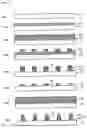 Fig. 04 - Electro-optical display having an arrangement of active and dummy coloring pixels performing as a color filter element