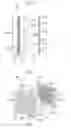 Fig. 03 - Plasma reactor and purification equipment