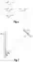 Fig. 06 - Vertically-oriented satellite antenna