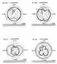 Fig. 05 - Antenna and wireless communications device having antenna