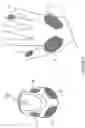Fig. 09 - Computer input devices