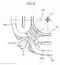 Fig. 07 - Image-blur correction apparatus, lens apparatus and optical device