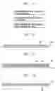 Fig. 05 - Trans-reflecting sheet, LCD device having the same, and method for fabricating the trans-reflecting sheet