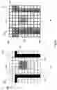 Fig. 12 - Method and apparatus for high-speed thickness mapping of patterned thin films