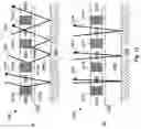 Fig. 16 - Method and apparatus for high-speed thickness mapping of patterned thin films