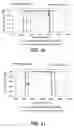 Fig. 24 - Dielectric multi layer thin film optical filter having predetermined wavelength optical characteristics, a method of manufacturing the same, a program for designing the same, and an optical add-drop system using the dielectric multi layer thin film optical filter