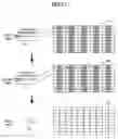 Fig. 28 - Image forming apparatus, erasing method, and hard disk management method