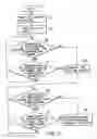 Fig. 07 - Electronic apparatus including a circulation path for circulating cooling medium