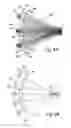 Fig. 04 - Illumination system having a plurality of light source modules disposed in an array with a non-radially symmetrical aperture