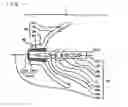 Fig. 02 - Lamp device, manufacturing method for same and projector having a lamp device