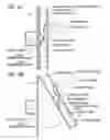 Fig. 06 - Lighting system for vehicles