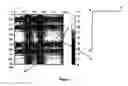 Fig. 07 - Backlighting apparatus