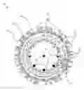 Fig. 01 - Moon phase wheel chart
