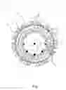 Fig. 02 - Moon phase wheel chart