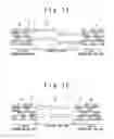 Fig. 09 - Optical disc and method for reproducing the same
