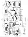 Fig. 06 - Surveillance implementation in managed VOP networks