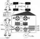 Fig. 01 - Method and process for video over IP network management