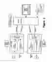 Fig. 03 - Voice communication concerning a local entity