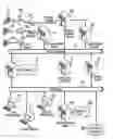 Fig. 01 - Method and system of providing personal and business information