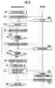 Fig. 06 - Encryption key device, encryption device and decryption device