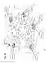 Fig. 10 - Method and architecture for secure transmission of data within optical switched networks