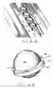 Fig. 06 - Segmented ball/roller guide for a linear motion bearing